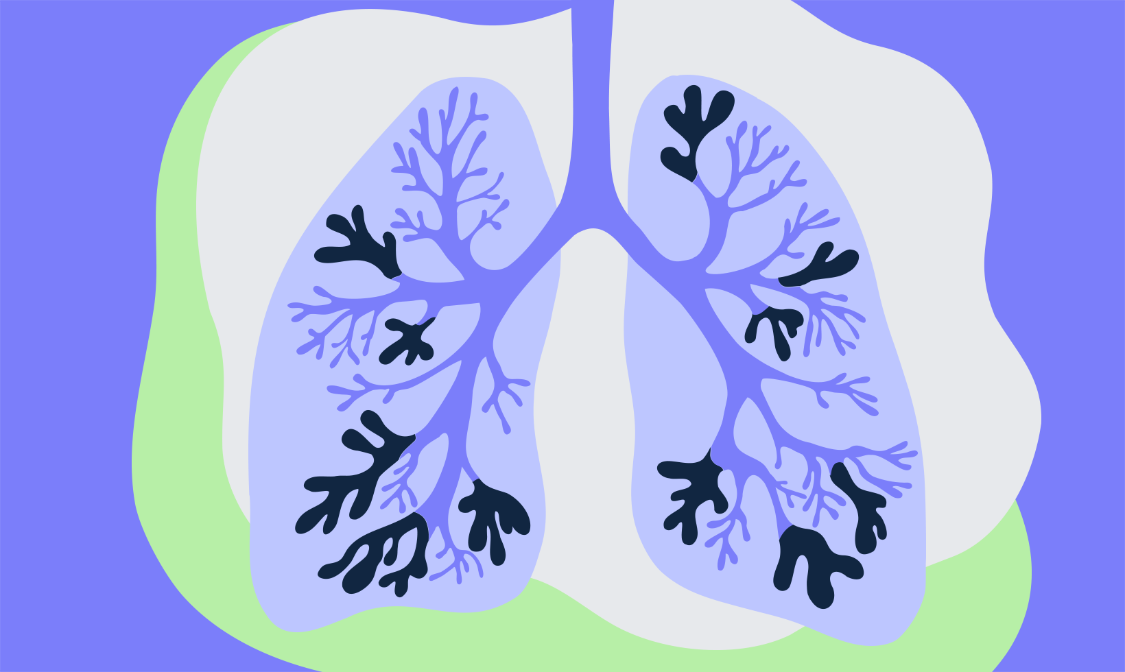 Bronchiectasis (BE) lungs illustration